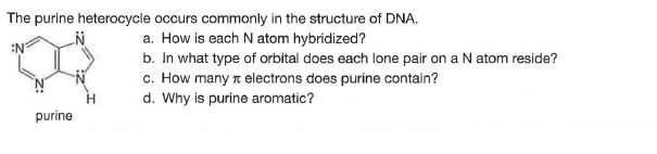 The purine heterocycle occurs commonly in the structure of DNA.
a. How is each N atom hybridized?
b. In what type of orbital does each lone pair on a N atom reside?
c. How many a electrons does purine contain?
d. Why is purine aromatic?
purine
