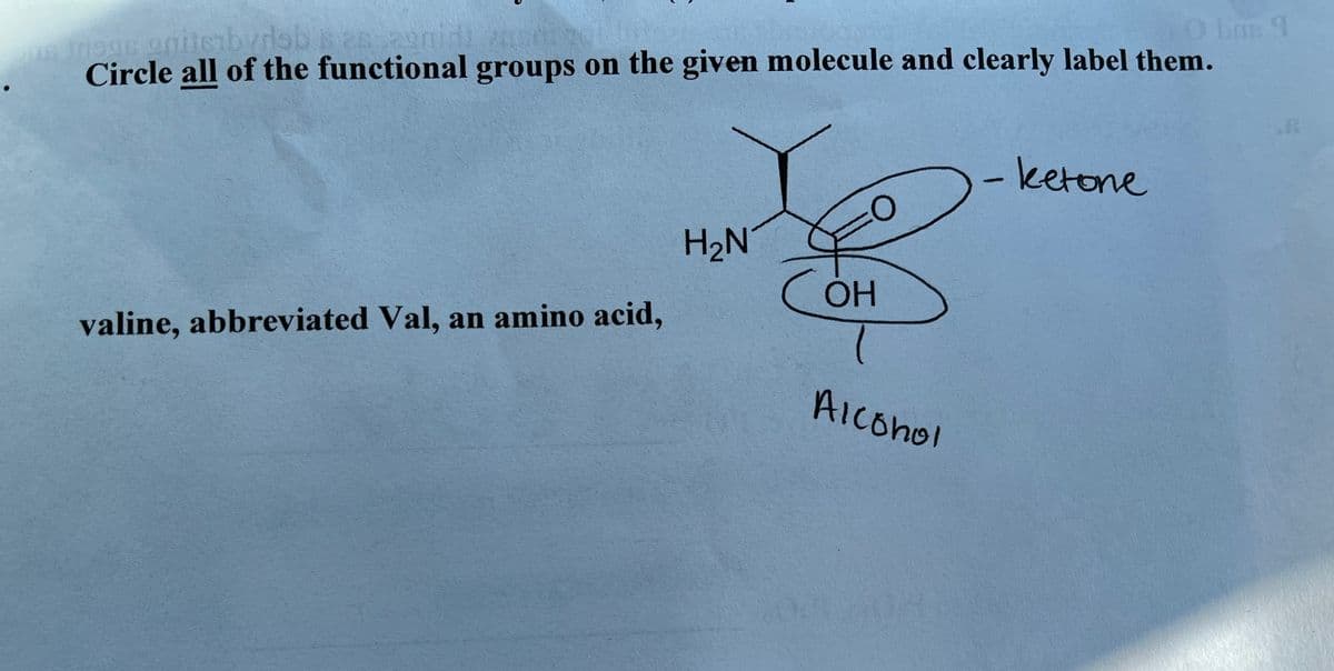 10 ban 9
Circle all of the functional groups on the given molecule and clearly label them.
-ketone
H2N
OH
valine, abbreviated Val, an amino acid,
AICE
AIconol
