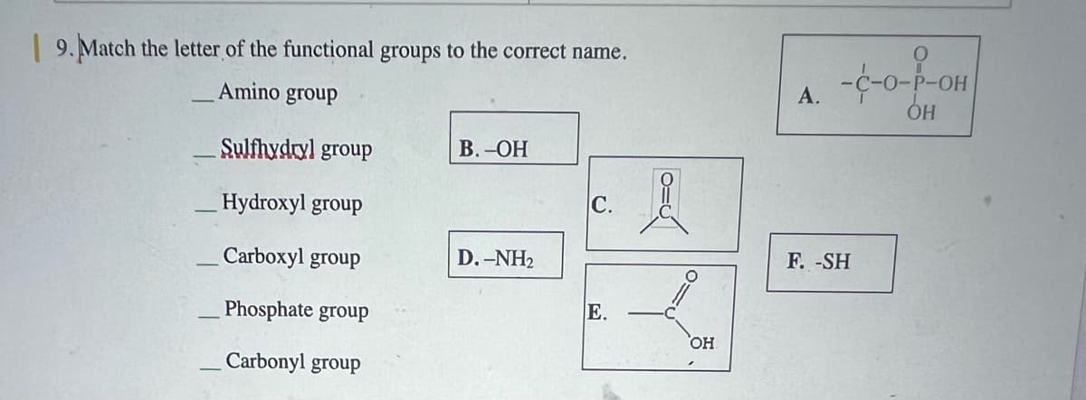 9. Match the letter of the functional groups to the correct name.
Amino group
Sulfhydryl group
Hydroxyl group
Carboxyl group
Phosphate group
Carbonyl group
B. -OH
D,–NH2
C.
E.
OH
A.
-C-O-P-OH
OH
F.-SH