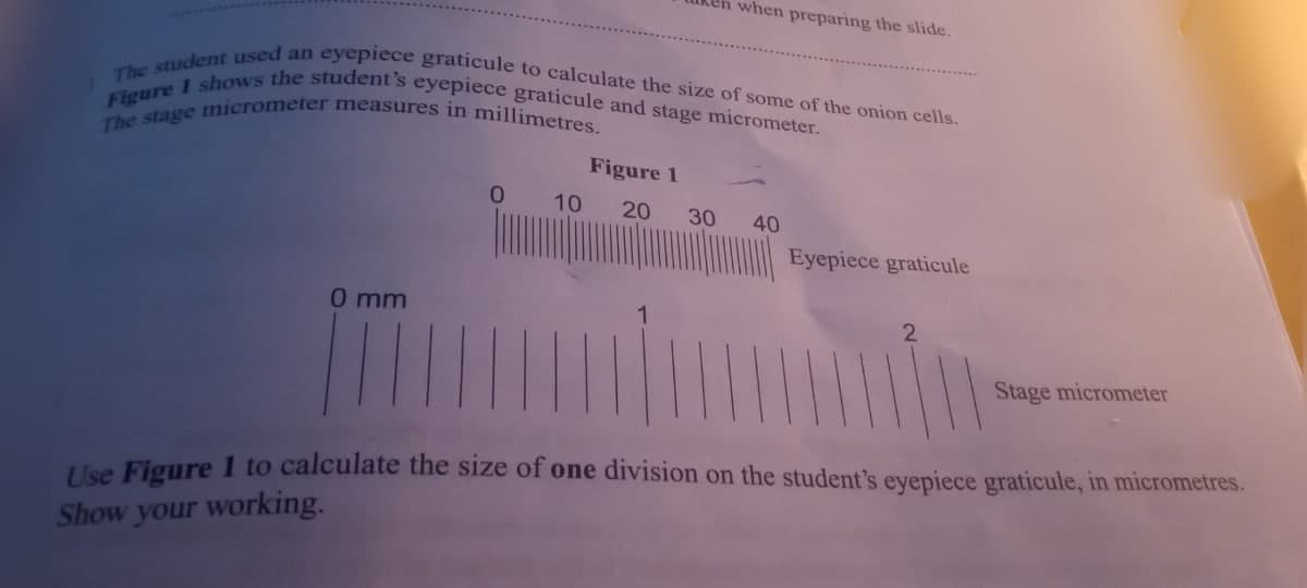 when preparing the slide.
The student used an eyepiece graticule to calculate the size of some of the onion cells.
Figure 1 shows the student's eyepiece graticule and stage micrometer.
The stage micrometer measures in millimetres.
Figure 1
10
20
30
40
Eyepiece graticule
0 mm
2
Stage micrometer
Use Figure 1 to calculate the size of one division on the student's eyepiece graticule, in micrometres.
Show your working.
