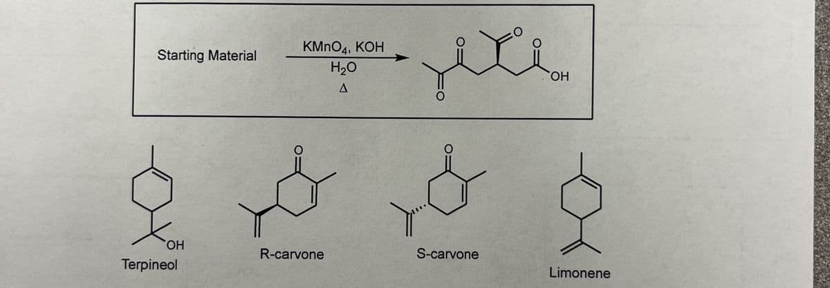 Starting Material
OH
Terpineol
KMnO4, KOH
H₂O
A
R-carvone
..…..
O
S-carvone
O
OH
Limonene