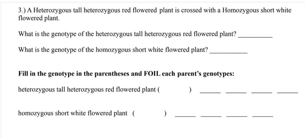 3.) A Heterozygous tall heterozygous red flowered plant is crossed with a Homozygous short white
flowered plant.
What is the genotype of the heterozygous tall heterozygous red flowered plant?
What is the genotype of the homozygous short white flowered plant?
Fill in the genotype in the parentheses and FOIL each parent's genotypes:
heterozygous tall heterozygous red flowered plant (
homozygous short white flowered plant (
