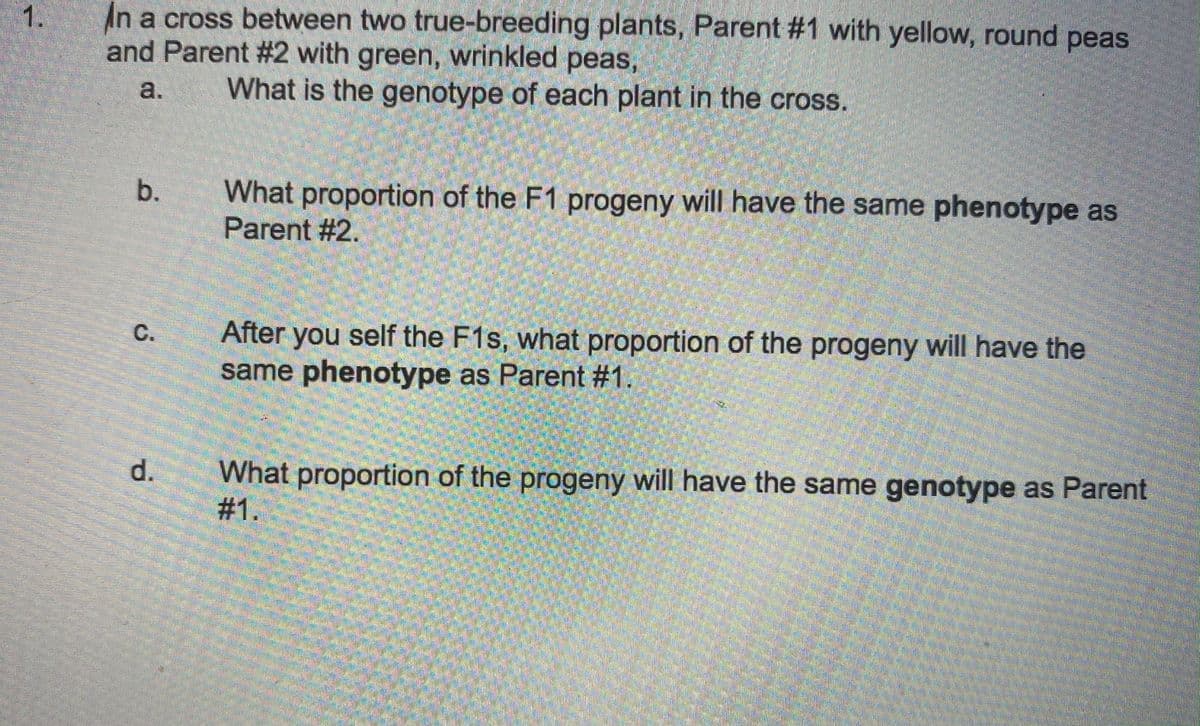 An a cross between two true-breeding plants, Parent #1 with yellow, round peas
and Parent #2 with green, wrinkled peas,
1.
a.
What is the genotype of each plant in the cross.
What proportion of the F1 progeny will have the same phenotype as
Parent #2.
After you self the F1s, what proportion of the progeny will have the
same phenotype as Parent #1.
C.
What proportion of the progeny will have the same genotype as Parent
# 1.
d.
b.
