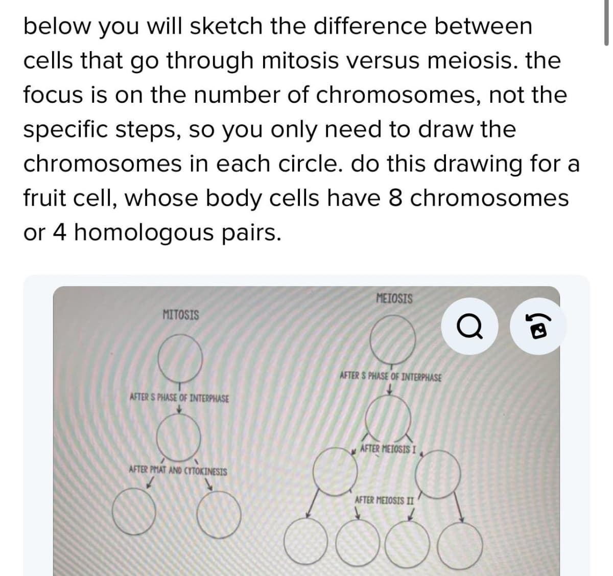 below you will sketch the difference between
cells that go through mitosis versus meiosis. the
focus is on the number of chromosomes, not the
specific steps, so you only need to draw the
chromosomes in each circle. do this drawing for a
fruit cell, whose body cells have 8 chromosomes
or 4 homologous pairs.
MITOSIS
11
AFTER S PHASE OF INTERPHASE
AFTER PMAT AND CYTOKINESIS
od
MEIOSIS
KO
AFTER S PHASE OF INTERPHASE
AFTER MEIOSIS I
AFTER MEIOSIS II
KA
Q
B)