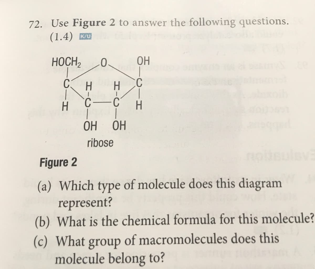 72. Use Figure 2 to answer the following questions.
(1.4) KU
HOCH,
OH
C3
H
C
H
С —
H
ОН
ОН
ribose
Figure 2
(a) Which type of molecule does this diagram
represent?
(b) What is the chemical formula for this molecule?
of macromolecules does this
(c) What
group
molecule belong to?
エーO
エ-O
