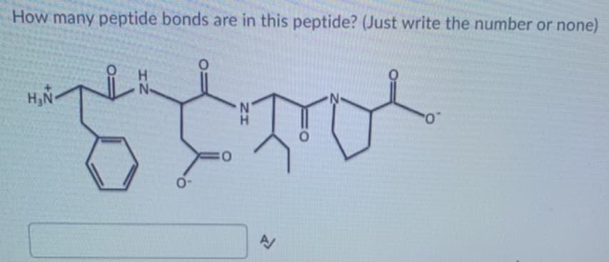 How many peptide bonds are in this peptide? (Just write the number or none)
H.
N-
H,N-
