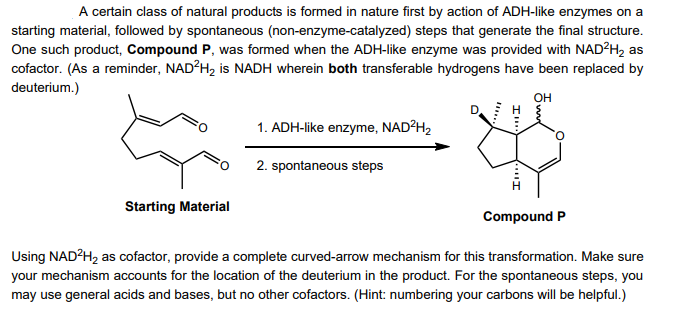 A certain class of natural products is formed in nature first by action of ADH-like enzymes on a
starting material, followed by spontaneous (non-enzyme-catalyzed) steps that generate the final structure.
One such product, Compound P, was formed when the ADH-like enzyme was provided with NAD²H₂ as
cofactor. (As a reminder, NAD²H₂ is NADH wherein both transferable hydrogens have been replaced by
deuterium.)
1. ADH-like enzyme, NAD²H₂
°
2. spontaneous steps
Starting Material
I
I
OH
Compound P
Using NAD²H₂ as cofactor, provide a complete curved-arrow mechanism for this transformation. Make sure
your mechanism accounts for the location of the deuterium in the product. For the spontaneous steps, you
may use general acids and bases, but no other cofactors. (Hint: numbering your carbons will be helpful.)