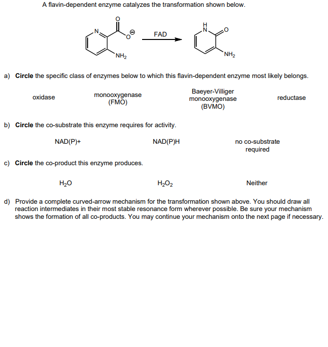 A flavin-dependent enzyme catalyzes the transformation shown below.
NH₂
FAD
NH₂
a) Circle the specific class of enzymes below to which this flavin-dependent enzyme most likely belongs.
oxidase
monooxygenase
(FMO)
b) Circle the co-substrate this enzyme requires for activity.
NAD(P)+
NAD(P)H
c) Circle the co-product this enzyme produces.
H₂O
H₂O2
Baeyer-Villiger
monooxygenase
(BVMO)
reductase
no co-substrate
required
Neither
d) Provide a complete curved-arrow mechanism for the transformation shown above. You should draw all
reaction intermediates in their most stable resonance form wherever possible. Be sure your mechanism
shows the formation of all co-products. You may continue your mechanism onto the next page if necessary.