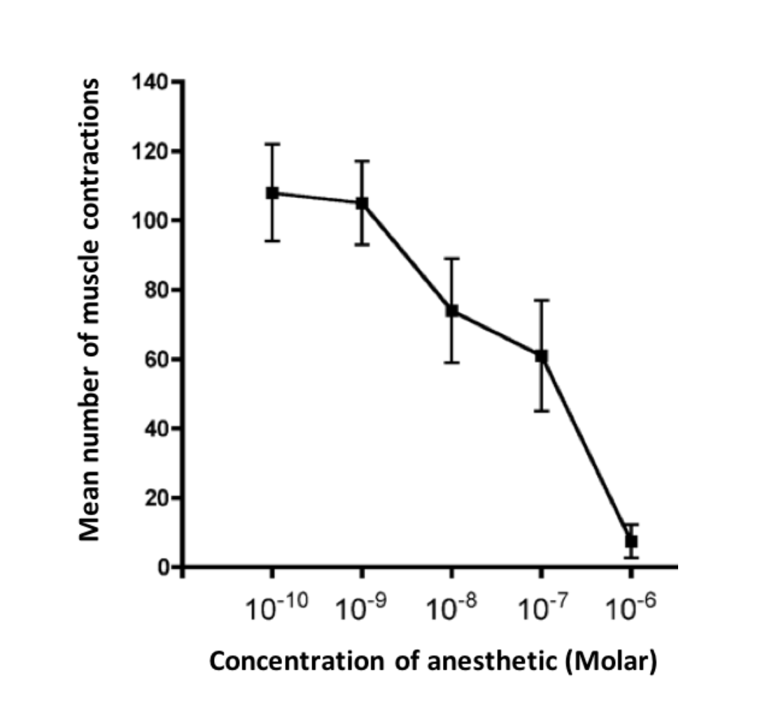140-
120-
100-
80-
60-
40-
20-
10-10 10-9 10-8
10:7 10-6
Concentration of anesthetic (Molar)
Mean number of muscle contractions
