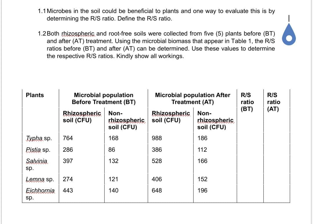 1.1 Microbes in the soil could be beneficial to plants and one way to evaluate this is by
determining the R/S ratio. Define the R/S ratio.
1.2 Both rhizospheric and root-free soils were collected from five (5) plants before (BT)
and after (AT) treatment. Using the microbial biomass that appear in Table 1, the R/S
ratios before (BT) and after (AT) can be determined. Use these values to determine
the respective R/S ratios. Kindly show all workings.
Microbial population
Before Treatment (BT)
Plants
R/S
Microbial population After
Treatment (AT)
R/S
ratio
ratio
(BT)
(AT)
Rhizospheric Non-
soil (CFU)
Rhizospheric Non-
rhizospheric soil (CFU)
soil (CFU)
rhizospheric
soil (CFU)
Typha sp.
764
168
988
186
Pistia sp.
286
86
386
112
Salvinia
397
132
528
166
sp.
Lemna sp.
274
121
406
152
Eichhornia
443
140
648
196
sp.
