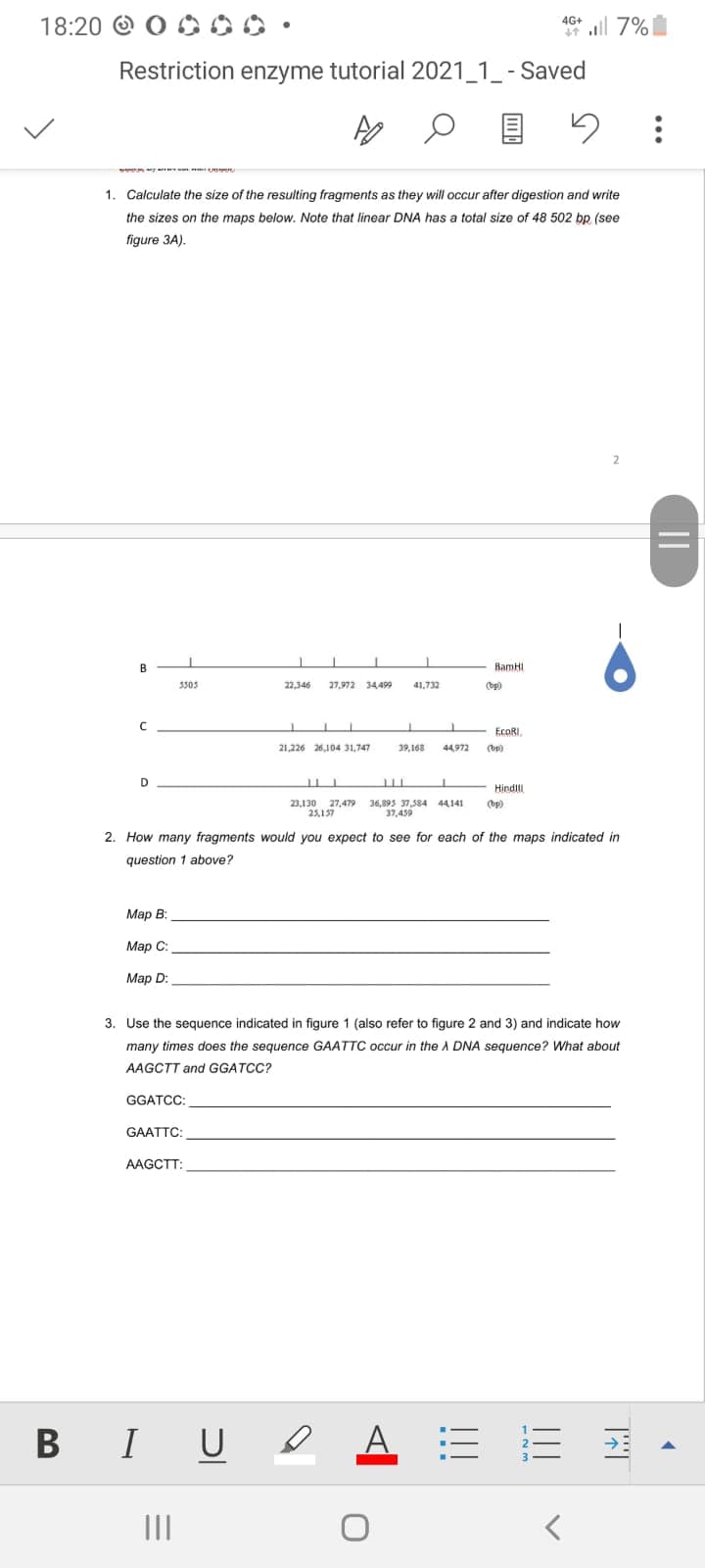 18:20 O O OO0 •
4G+
* ll 7%
Restriction enzyme tutorial 2021_1_ - Saved
1. Calculate the size of the resulting fragments as they will occur after digestion and write
the sizes on the maps below. Note that linear DNA has a total size of 48 502 bp (see
figure 3A).
%3D
B
BamHI
5305
22,346
27,972
34499
41,732
op)
ECORI,
21,226 26,104 31,747
39,168
44,972
(bp)
D
Hindll
23,130 27,479 36,895 37,584 44141
25,157
(bp)
37,459
2. How many fragments would you expect to see for each of the maps indicated in
question 1 above?
Мар В:
Мар С:
Мар D:
3. Use the sequence indicated in figure 1 (also refer to figure 2 and 3) and indicate how
many times does the sequence GAATTC occur in the A DNA sequence? What about
AAGCTT and GGATCC?
GGATC:
GAATTC:
АAGCTT:
B IU e A = E
