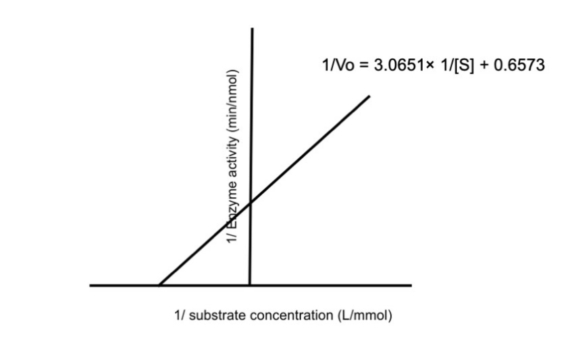 1/ Enzyme activity (min/nmol)
1/Vo = 3.0651x 1/[S] + 0.6573
1/ substrate concentration (L/mmol)