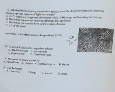 Which of the following statements is correct about the difference between dissecting
microscope and compound light microscope?
A. (3-D) image on compound microscope while (2-D) image on dissecting microscope
B. Dissecting microscope requires extremely thin specimen
C. Dissecting microscope have larger working distance
D. All of the above
depending on the figure answer the qucstion ( 18-20)
18- To which kingdom this organism belong
A. Basidiomycota B Ascomycota
C. Zygonycota
D. Chytridomycota
19- The name of this organism is:
A. Penicillium B. Glomas C. Saccharomyces
D.Mucor
20- it is belong to
A. Bacteria
B Fungi
C. animal
D. plant
