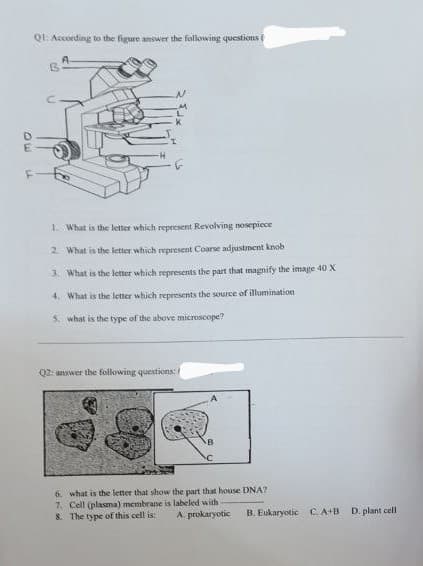Ql: According to the figure answer the following questions (
1. What is the letter which represent Revolving nosepiece
2 What is the letter which represent Coarse adjustment knob
3. What is the letter which represents the part that magnify the image 40 X
4. What is the letter which represents the source of illumination
5. what is the type of the above microscope?
Q2: answer the following questions:
6. what is the letter that show the part that house DNA?
7. Cell (plasma) membrane is labeled with
8. The type of this cell is:
A. prokaryotic
B. Eukaryotic C.A+B D.plant cell
