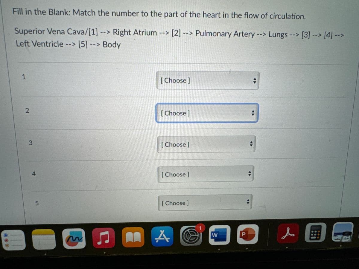 Fill in the Blank: Match the number to the part of the heart in the flow of circulation.
Superior Vena Cava/[1] --> Right Atrium --> [2] --> Pulmonary Artery --> Lungs --> [3]--> [4] -->
Left Ventricle--> [5] --> Body
1
2
3
4
5
·
Ç
m
[Choose ]
[Choose ]
[Choose ]
[Choose]
[Choose ]
A
W
→
00
P
美国