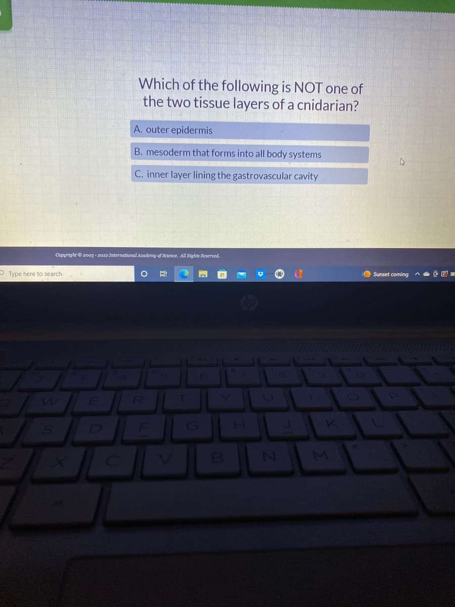 Which of the following is NOT one of
the two tissue layers of a cnidarian?
A. outer epidermis
B. mesoderm that forms into all body systems
C. inner layer lining the gastrovascular cavity
Copyright © 2003-2022 International Academy of Science. All Rights Reserved.
O 3:
1
Type here to search-
W
B
H
K
Sunset coming
P