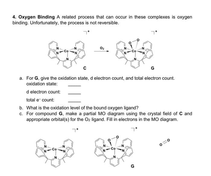 4. Oxygen Binding A related process that can occur in these complexes is oxygen
binding. Unfortunately, the process is not reversible.
N
www
'N
0₂
с
G
a. For G, give the oxidation state, d electron count, and total electron count.
oxidation state:
d electron count:
total e count:
b. What is the oxidation level of the bound oxygen ligand?
c. For compound G, make a partial MO diagram using the crystal field of C and
appropriate orbital(s) for the O₂ ligand. Fill in electrons in the MO diagram.
7*
יך
CoN
N
G