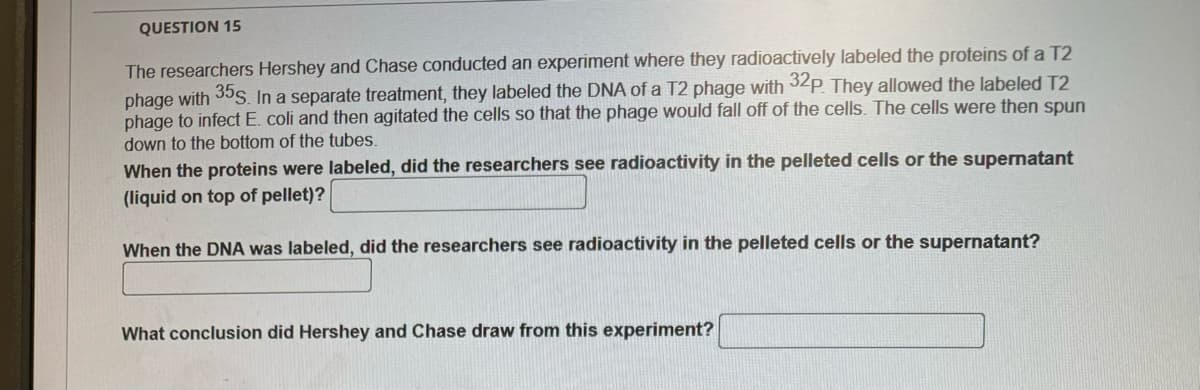 QUESTION 15
The researchers Hershey and Chase conducted an experiment where they radioactively labeled the proteins of a T2
phage with 35S. In a separate treatment, they labeled the DNA of a T2 phage with 32p. They allowed the labeled T2
phage to infect E. coli and then agitated the cells so that the phage would fall off of the cells. The cells were then spun
down to the bottom of the tubes.
When the proteins were labeled, did the researchers see radioactivity in the pelleted cells or the supernatant
(liquid on top of pellet)?
When the DNA was labeled, did the researchers see radioactivity in the pelleted cells or the supernatant?
What conclusion did Hershey and Chase draw from this experiment?