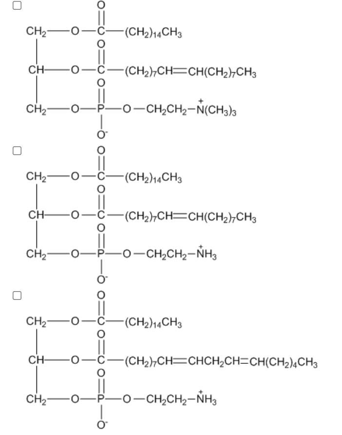 CH2-O
-C-
-(CH2)14CH3
CH-
-(CH2,CH=CH(CH2),CH3
CH-0-P-o-CH,CH,-N(CH,)3
CH2-
-C-
-(CH2)14CH3
CH-
(CH2),CH=CH(CH2),CH3
CH2
-0-CH,CH2-NH3
CH2-
-C-
-(CH2)14CH3
CH-
-(CH2),CH=CHCH2CH=CH(CH2)¾CH3
-P-
-0-CH,CH2-NH3
