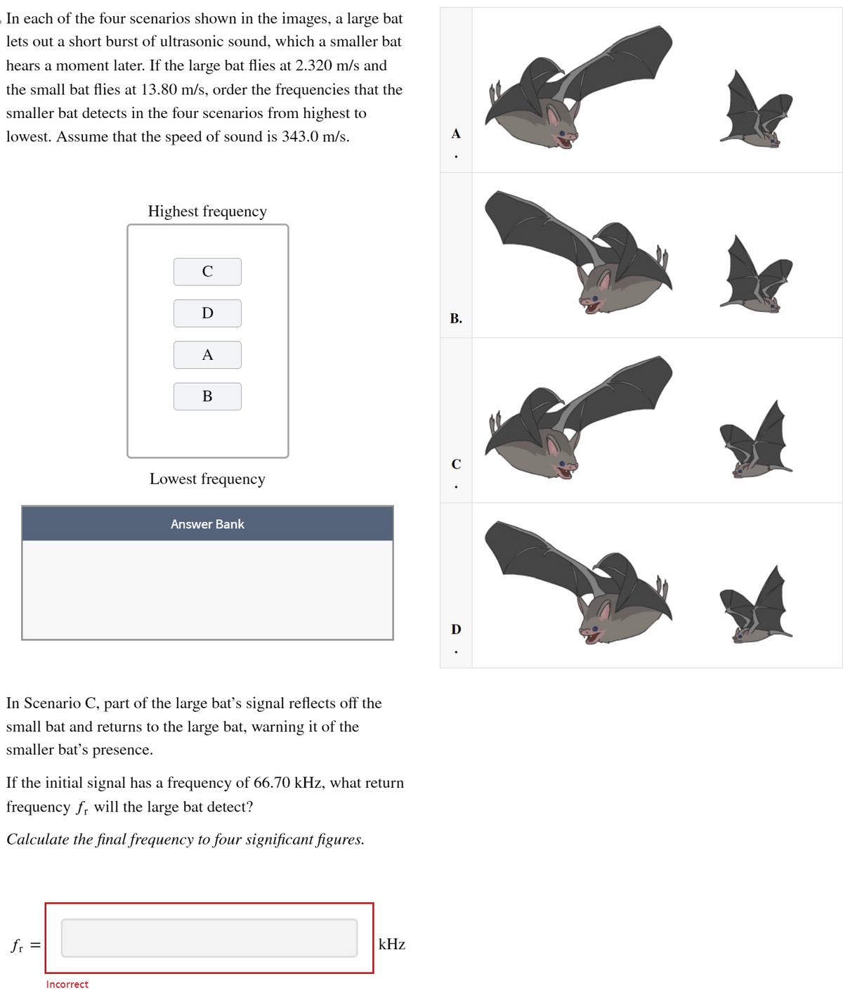 In each of the four scenarios shown in the images, a large bat
lets out a short burst of ultrasonic sound, which a smaller bat
hears a moment later. If the large bat flies at 2.320 m/s and
the small bat flies at 13.80 m/s, order the frequencies that the
smaller bat detects in the four scenarios from highest to
lowest. Assume that the speed of sound is 343.0 m/s.
Highest frequency
A
D
B.
A
B
C
Lowest frequency
Answer Bank
In Scenario C, part of the large bat's signal reflects off the
small bat and returns to the large bat, warning it of the
smaller bat's presence.
If the initial signal has a frequency of 66.70 kHz, what return
frequency fr will the large bat detect?
Calculate the final frequency to four significant figures.
fr
Incorrect
kHz
Ꭰ