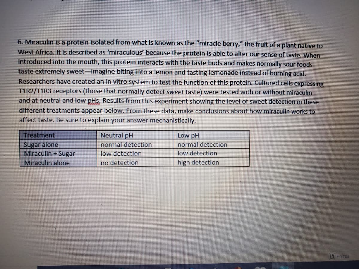 6. Miraculin is a protein isolated from what is known as the "miracle berry," the fruit of a plant native to
West Africa. It is described as 'miraculous' because the protein is able to alter our sense of taste. When
introduced into the mouth, this protein interacts with the taste buds and makes normally sour foods
taste extremely sweet-imagine biting into a lemon and tasting lemonade instead of burning acid.
Researchers have created an in vitro system to test the function of this protein. Cultured cells expressing
TIR2/T1R3 receptors (those that normally detect sweet taste) were tested with or without miraculin
and at neutral and low pHs. Results from this experiment showing the level of sweet detection in these
different treatments appear below. From these data, make conclusions about how miraculin works to
affect taste. Be sure to explain your answer mechanistically.
Treatment
Neutral pH
Low pH
Sugar alone
Miraculin + Sugar
Miraculin alone
normal detection
normal detection
low detection
low detection
no detection
high detection
O Focus
