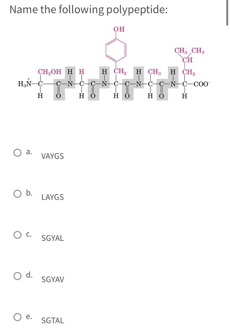 Name the following polypeptide:
H₂N-C-
a.
O b.
C.
O d.
CH₂OH H H
N- C
e.
H O
VAYGS
LAYGS
SGYAL
SGYAV
SGTAL
Η Ο
OH
H CH₂
N
Η Ο
CH₂ CH3
CH
H CH3 H CH₂
-N-C C-N-C-COO
Η Ο
H