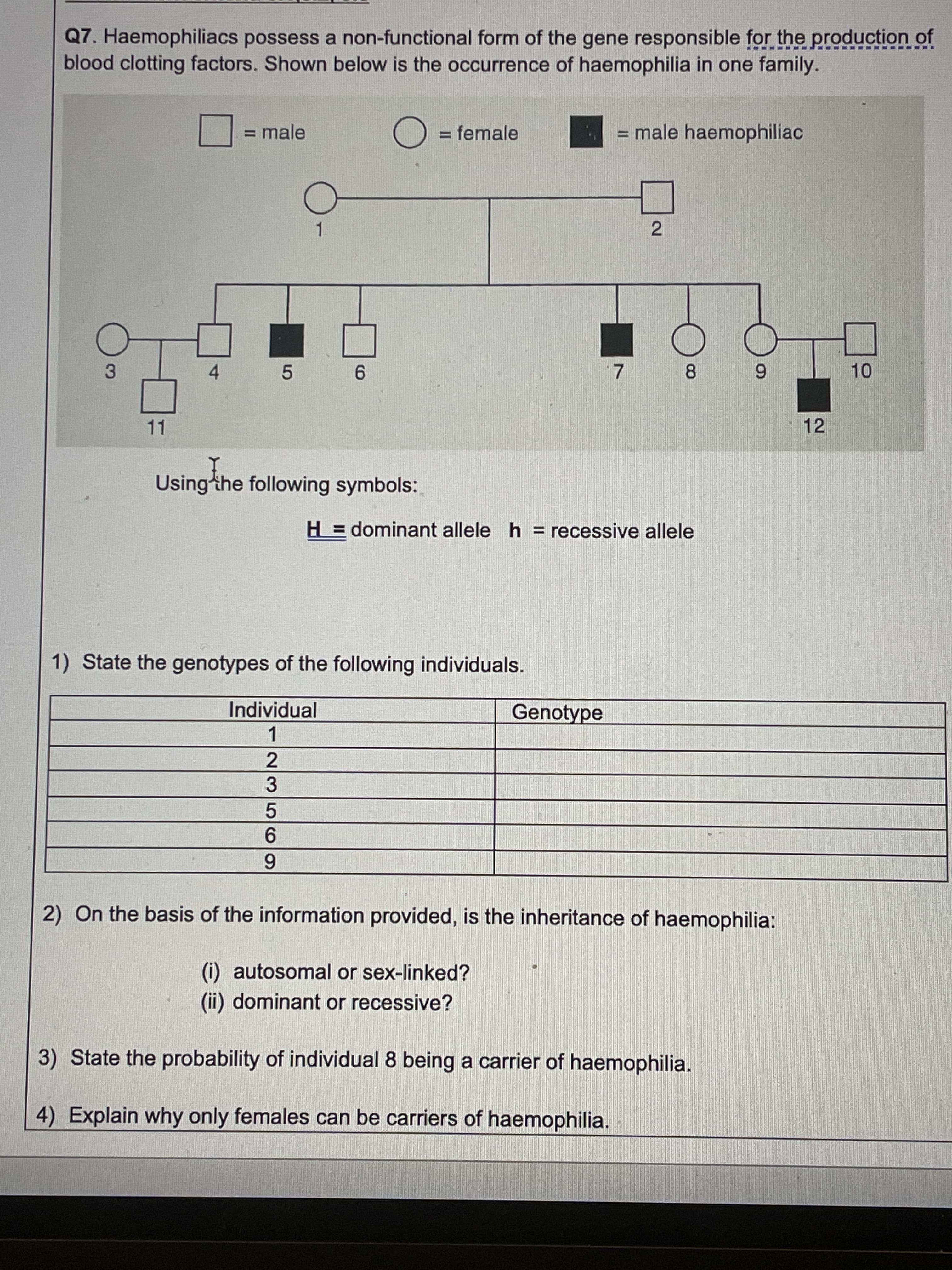 2.
235O
4)
Q7. Haemophiliacs possess a non-functional form of the gene responsible for the production of
blood clotting factors. Shown below is the occurrence of haemophilia in one family.
= male
= female
= male haemophiliac
7.
8.
5.
9.
3.
11
12
Usingthe following symbols:
H = dominant allele h = recessive allele
1) State the genotypes of the following individuals.
Individual
Genotype
1.
6.
2) On the basis of the information provided, is the inheritance of haemophilia:
(i) autosomal or sex-linked?
(ii) dominant or recessive?
3) State the probability of individual 8 being a carrier of haemophilia.
4) Explain why only females can be carriers of haemophilia.
