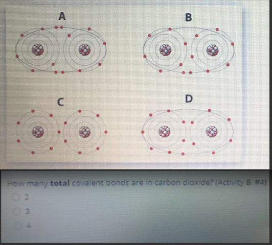 D
How many total covalent bonds are in carbon dloxide? (Activity B. #4)
3.
