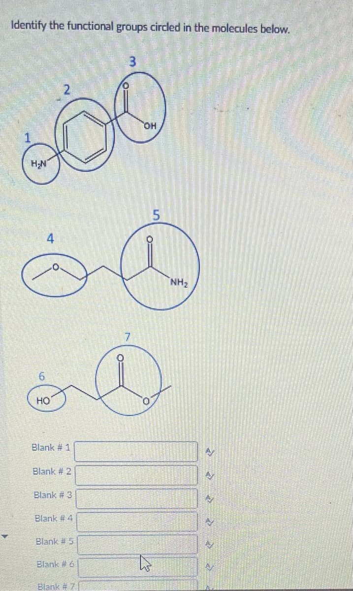 Identify the functional groups cirded in the molecules below.
HO,
H-N
5.
NH2
HO
Blank # 1
Blank # 2
Blank # 3
Blank # 4
Blank # 5
Blank # 6
Blank # 7
4.
