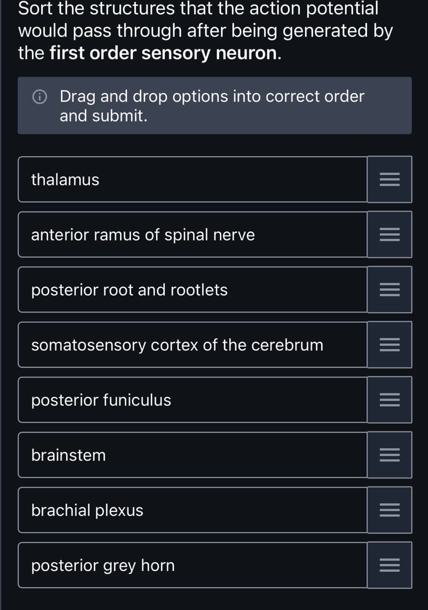Sort the structures that the action potential
would pass through after being generated by
the first order sensory neuron.
Drag and drop options into correct order
and submit.
thalamus
anterior ramus of spinal nerve
posterior root and rootlets
somatosensory cortex of the cerebrum
posterior funiculus
brainstem
brachial plexus
posterior grey horn
|||
|||
=
|||
=
|||
=
|||
=
|||
|||
|||
=