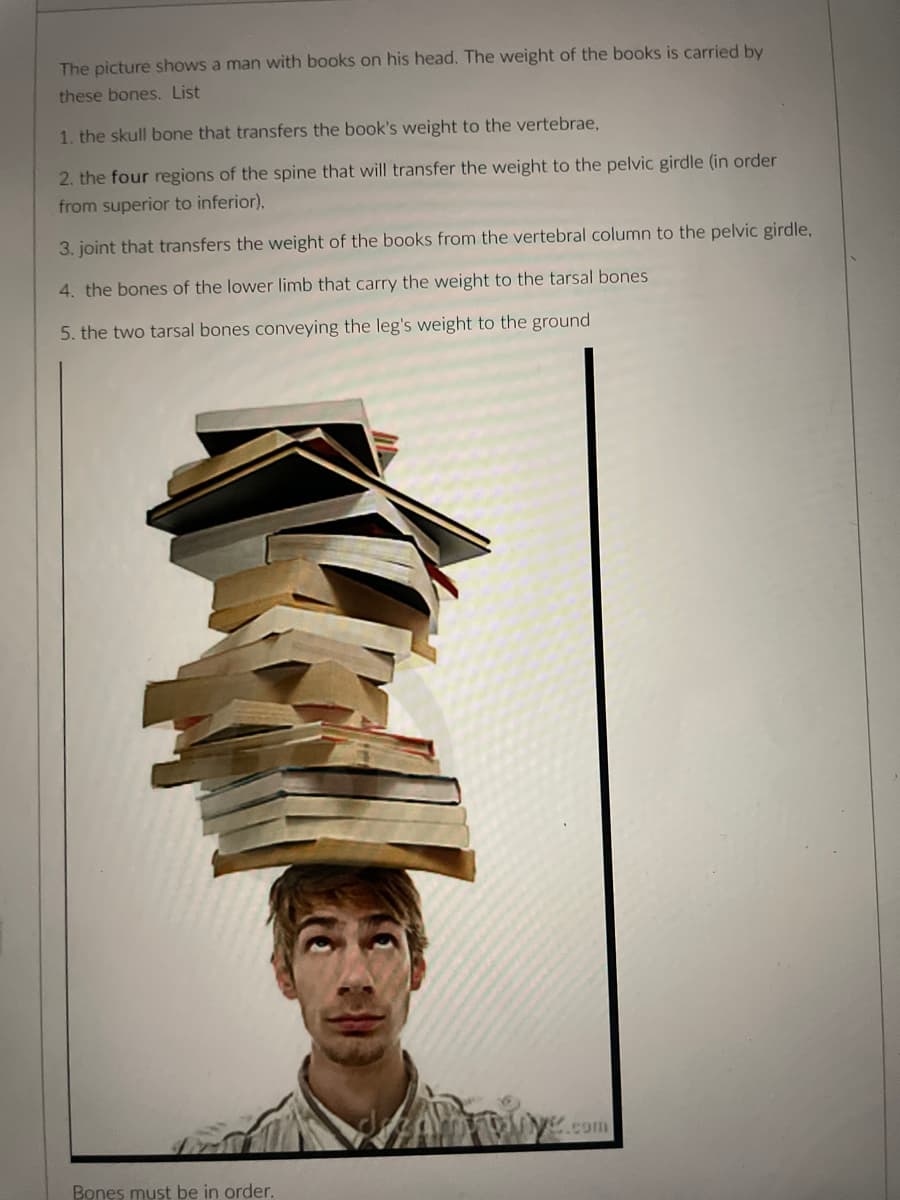 The picture shows a man with books on his head. The weight of the books is carried by
these bones. List
1. the skull bone that transfers the book's weight to the vertebrae,
2. the four regions of the spine that will transfer the weight to the pelvic girdle (in order
from superior to inferior),
3. joint that transfers the weight of the books from the vertebral column to the pelvic girdle,
4. the bones of the lower limb that carry the weight to the tarsal bones
5. the two tarsal bones conveying the leg's weight to the ground
wye.com
Bones must be in order.