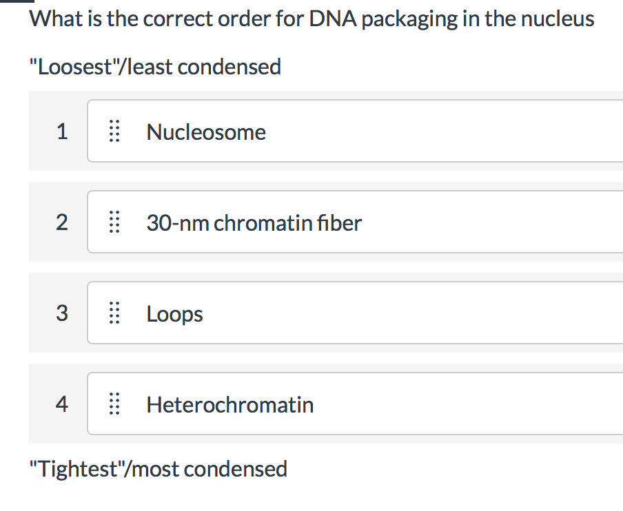 What is the correct order for DNA packaging in the nucleus
"Loosest"/least condensed
1
Nucleosome
2
30-nm chromatin fiber
3
Loops
4
Heterochromatin
"Tightest"/most condensed
