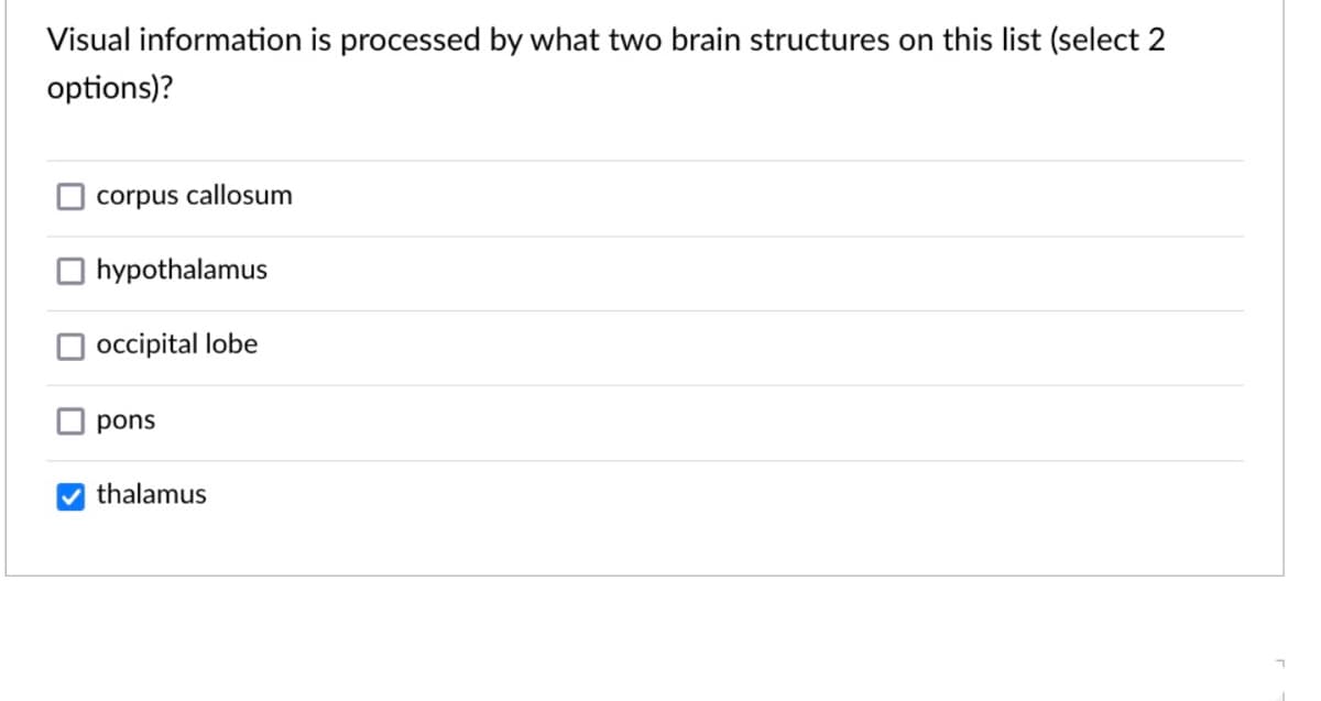 Visual information is processed by what two brain structures on this list (select 2
options)?
corpus callosum
hypothalamus
occipital lobe
pons
thalamus

