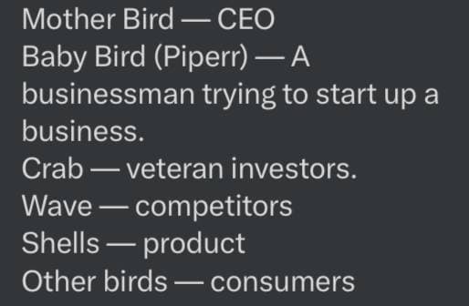 Mother Bird - CEO
Baby Bird (Piperr) — A
businessman trying to start up a
business.
Crab - veteran investors.
Wave - competitors
Shells product
Other birds - consumers