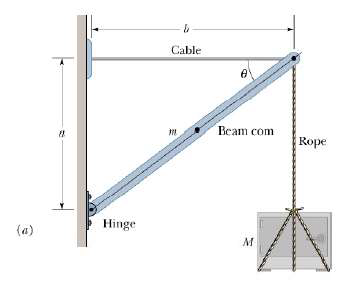 Cable
Beam com
Rope
Hinge
(a)
M
