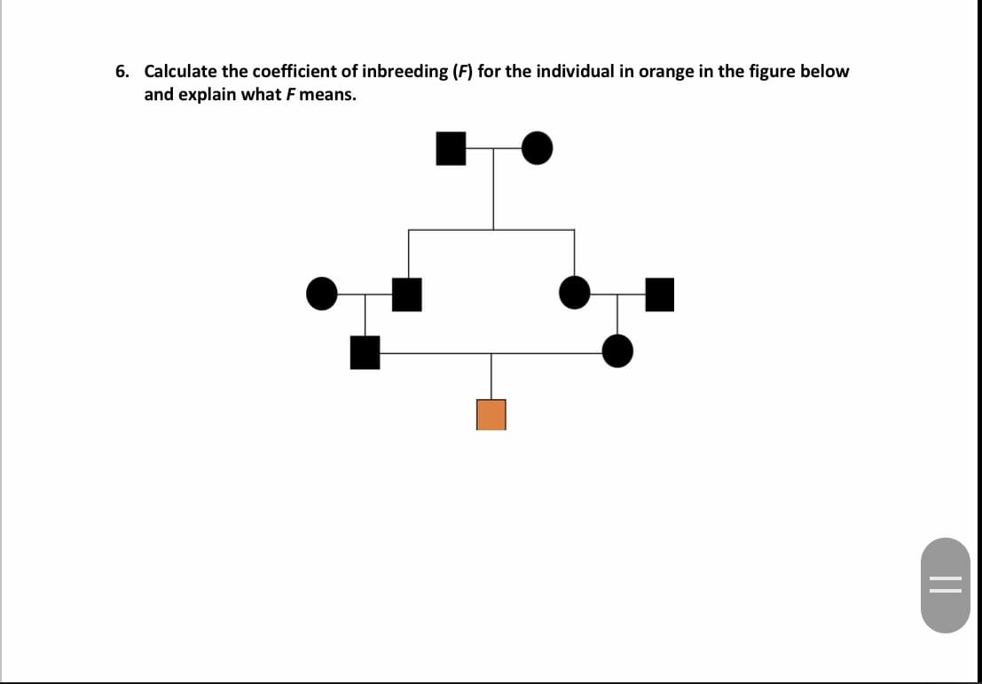 Calculate the coefficient of inbreeding (F) for the individual in orange in the figure below
and explain what F means.
6.
11
