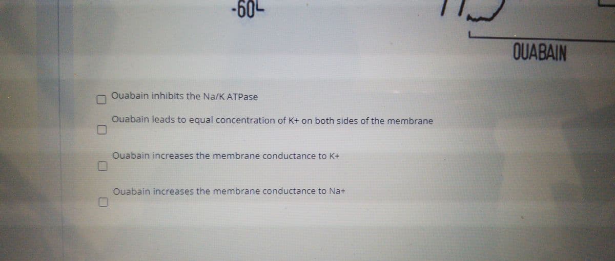-60-
OUABAIN
Ouabain inhibits the Na/K ATPase
Ouabain leads to equal concentration of K+ on both sides of the membrane
Ouabain increases the membrane conductance to K+
Ouabain increases the membrane conductance to Na+
