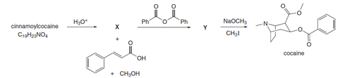 cinnamoylcocaine
Н,о
Ph o"Ph
Ph
NaOCH,
C19H23NO.
CH3I
cocaine
HO.
снон
