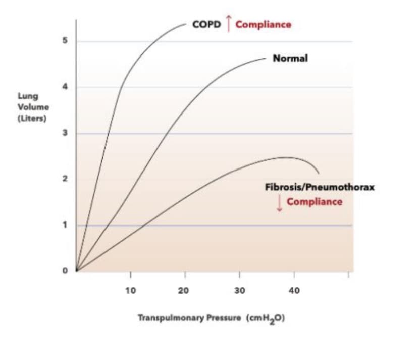 COPD Compliance
Normal
Lung
Volume
(Liters)
3
Fibrosis/Pneumothorax
| Compliance
10
20
30
40
Transpulmonary Pressure (cmH,0)
