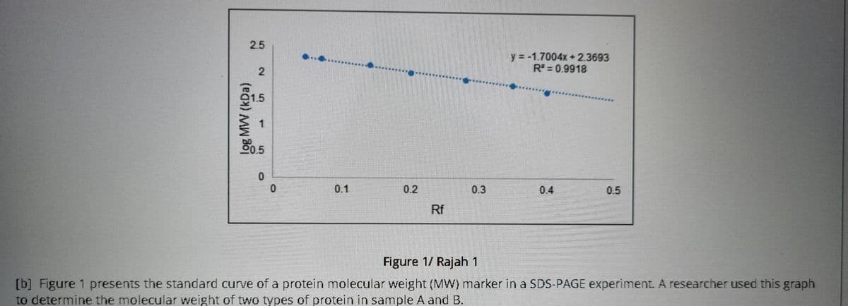 2.5
y = -1.7004x +2.3693
R = 0.9918
.5
0.1
0.2
0.3
0.4
0.5
Rf
Figure 1/ Rajah 1
[b] Figure 1 presents the standard curve of a protein molecular weight (MW) marker in a SDS-PAGE experiment. A researcher used this graph
to determine the molecular weight of two types of protein in sample A and B.
log MW (kDa)
2.
