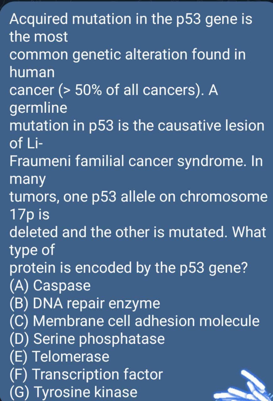 Acquired mutation in the p53 gene is
the most
common genetic alteration found in
human
cancer (> 50% of all cancers). A
germline
mutation in p53 is the causative lesion
of Li-
Fraumeni familial cancer syndrome. In
many
tumors, one p53 allele on chromosome
17p is
deleted and the other is mutated. What
type of
protein is encoded by the p53 gene?
(A) Caspase
(B) DNA repair enzyme
(C) Membrane cell adhesion molecule
(D) Serine phosphatase
(E) Telomerase
(F) Transcription factor
(G) Tyrosine kinase

