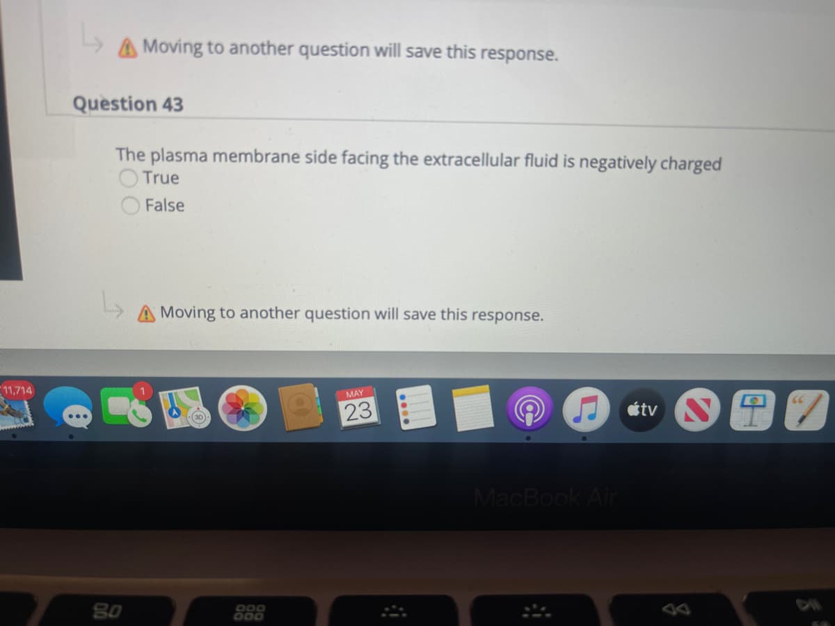 11,714
A Moving to another question will save this response.
Question 43
The plasma membrane side facing the extracellular fluid is negatively charged
True
False
Moving to another question will save this response.
MAY
d
23
tv
80
((
MacBook Air
8
66
