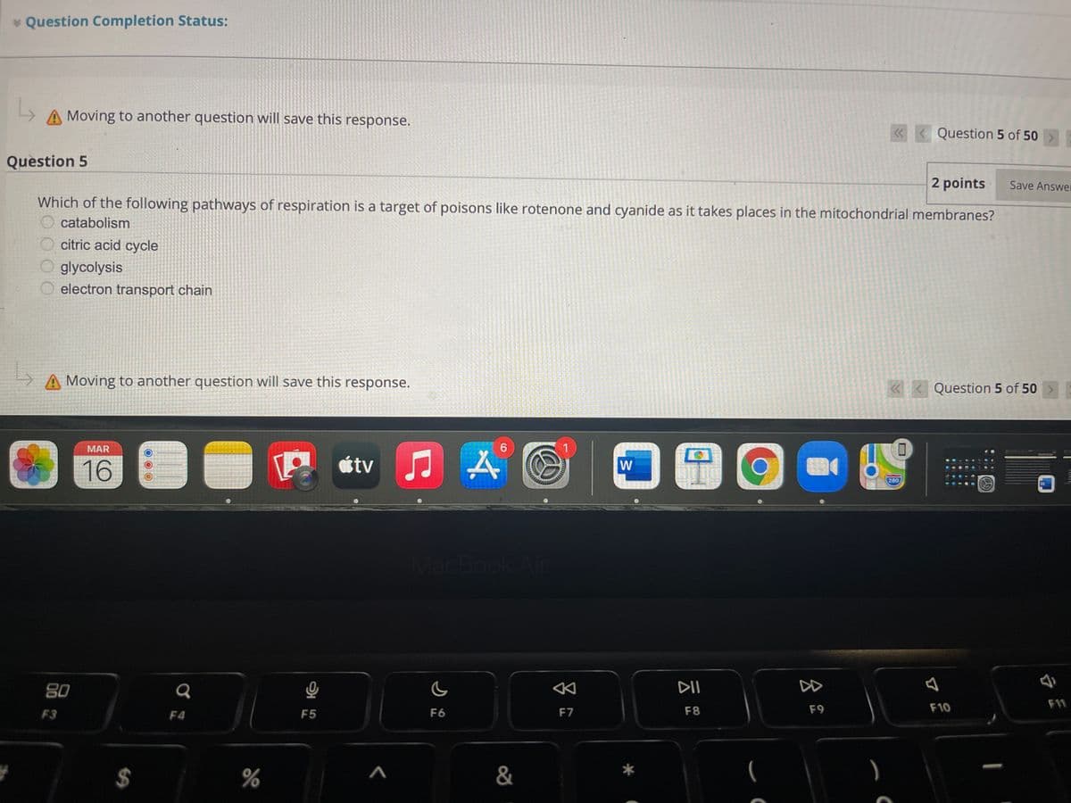 * Question Completion Status:
A Moving to another question will save this response.
«<Question 5 of 50 >
Question 5
2 points
Which of the following pathways of respiration is a target of poisons like rotenone and cyanide as it takes places in the mitochondrial membranes?
Save Answer
catabolism
citric acid cycle
glycolysis
electron transport chain
A Moving to another question will save this response.
«< Question 5 of 50 >E
MAR
1
16
tv
W
280
MacBook Air
80
DII
DD
F9
F10
F11
F3
F4
F5
F6
F7
F8
%
&
%24
