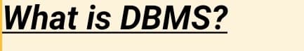 What is DBMS?