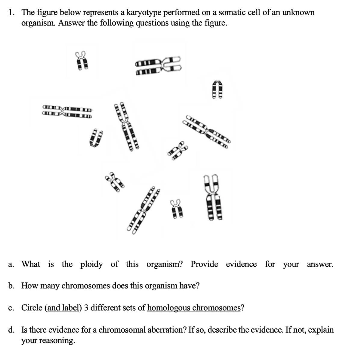 1. The figure below represents a karyotype performed on a somatic cell of an unknown
organism. Answer the following questions using the figure.
а.
What is the ploidy of this organism? Provide evidence for your
answer.
b. How many chromosomes does this organism have?
c. Circle (and label) 3 different sets of homologous chromosomes?
d. Is there evidence for a chromosomal aberration? If so, describe the evidence. If not, explain
your reasoning.
CTM D
CT ID
