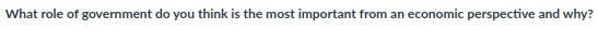What role of government do you think is the most important from an economic perspective and why?

