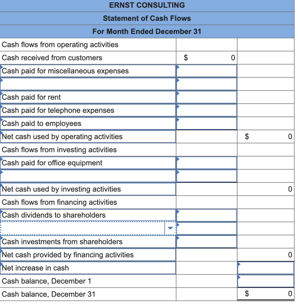 ERNST CONSULTING
Statement of Cash Flows
For Month Ended December 31
Cash flows from operating activities
Cash received from customers
Cash paid for miscellaneous expenses
Cash paid for rent
Cash paid for telephone expenses
Cash paid to employees
Net cash used by operating activities
Cash flows from investing activities
Cash paid for office equipment
Net cash used by investing activities
Cash flows from financing activities
Cash dividends to shareholders
Cash investments from shareholders
Net cash provided by financing activities
Net increase in cash
Cash balance, December 1
Cash balance, December 31
$
0
$
$
0
0
0
0