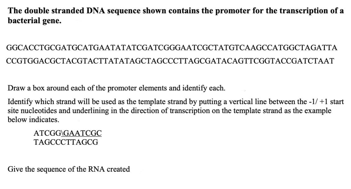 The double stranded DNA sequence shown contains the promoter for the transcription of a
bacterial gene.
GGCACCTGCGATGCATGAATATATCGATCGGGAATCGCTATGTCAAGCCATGGCTAGATTA
CCGTGGACGCTACGTACTTATATAGCTAGCCCTTAGCGATACAGTTCGGTACCGATCTAAT
Draw a box around each of the promoter elements and identify each.
Identify which strand will be used as the template strand by putting a vertical line between the -1/+1 start
site nucleotides and underlining in the direction of transcription on the template strand as the example
below indicates.
ATCGG\GAATCGC
TAGCCCTTAGCG
Give the sequence of the RNA created