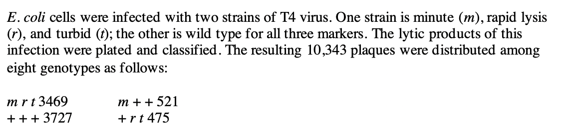 E. coli cells were infected with two strains of T4 virus. One strain is minute (m), rapid lysis
(r), and turbid (t); the other is wild type for all three markers. The lytic products of this
infection were plated and classified. The resulting 10,343 plaques were distributed among
eight genotypes as follows:
mrt 3469
m++ 521
+ + +3727
+rt475