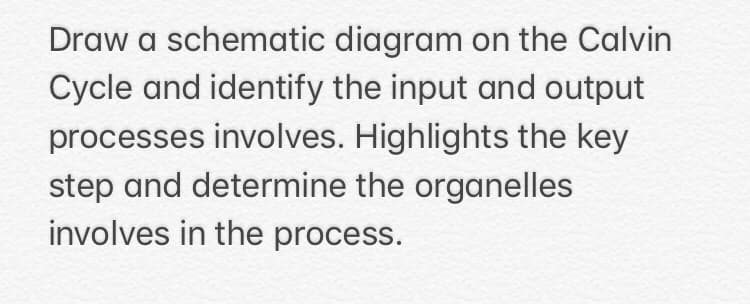 Draw a schematic diagram on the Calvin
Cycle and identify the input and output
processes involves. Highlights the key
step and determine the organelles
involves in the process.
